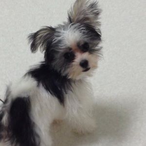 Meet your Posher, Kelly